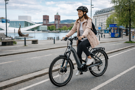 Mechanic Arts Flýr Classic